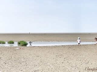 Wattenmeer