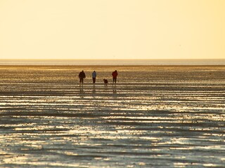 Wattenmeer