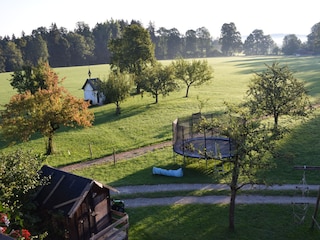 Blick am Morgen vom Balkon