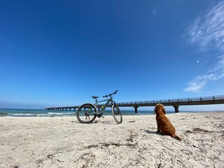 Ferienwohnung Prerow Umgebung 12