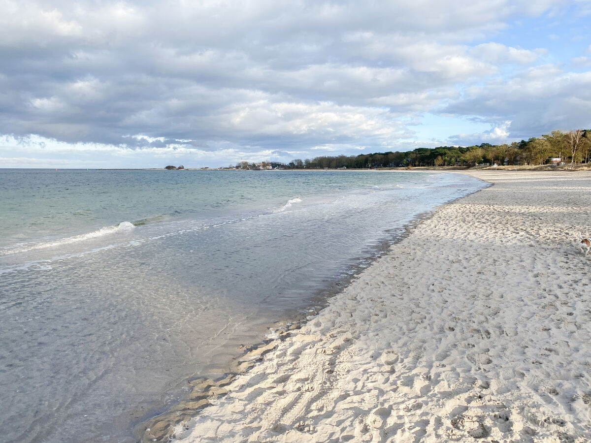 Ferienwohnung Niendorf (Ostsee) Umgebung 31