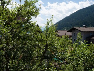 Vakantieappartement Eben im Pongau Buitenaudio-opname 5