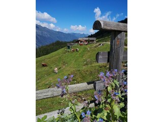 Vakantieappartement Eben im Pongau Buitenaudio-opname 10