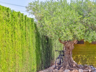 Villa Pollensa Registrazione all'aperto 2