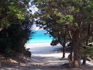 Casa per le vacanze Olbia Ambiente 28