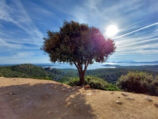 Casa per le vacanze Olbia Ambiente 25