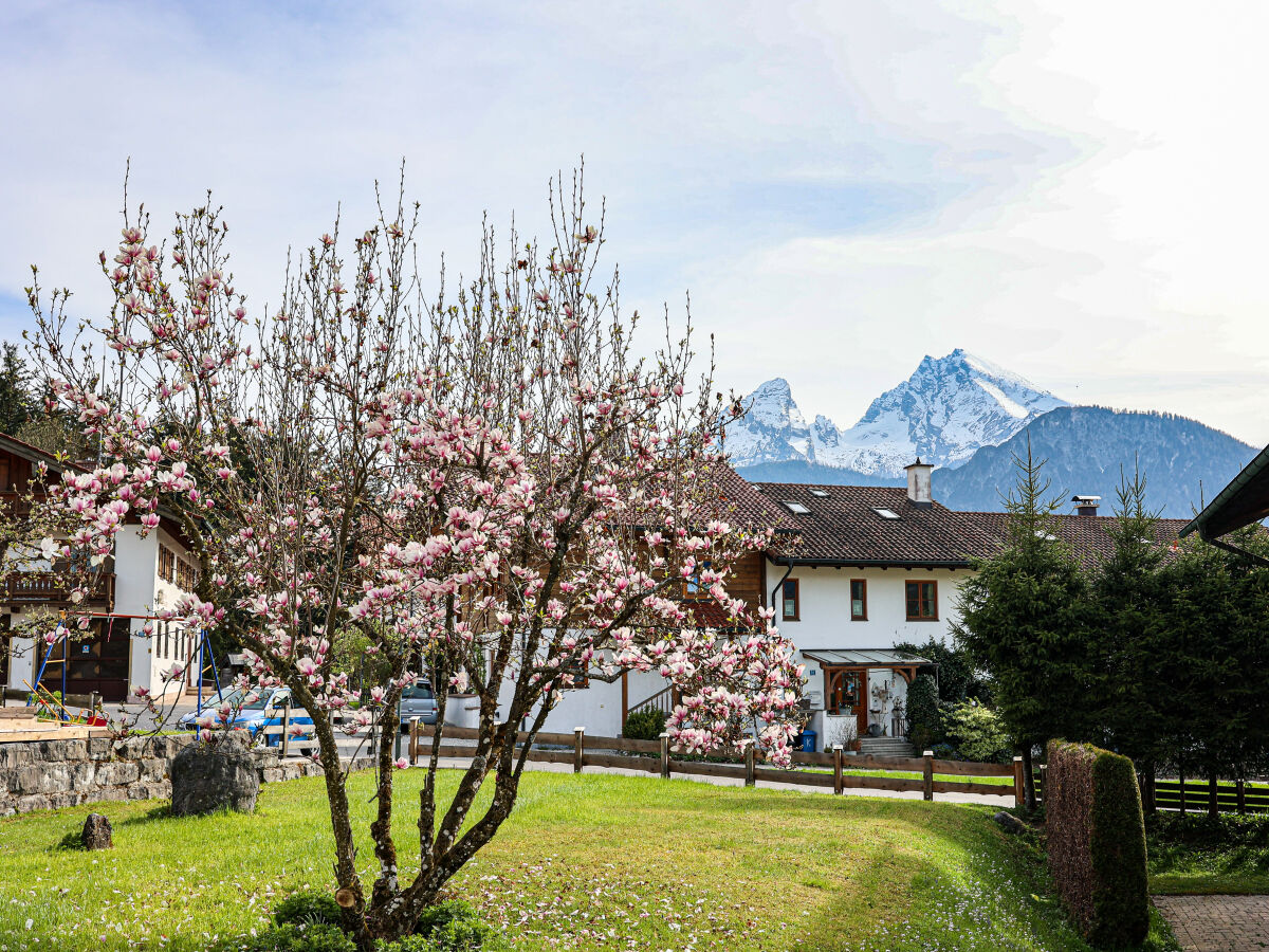 Garten mit Blick auf dem Watzmann