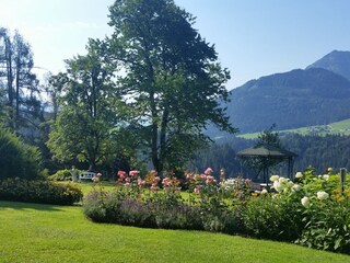 Vakantieappartement Abtenau Buitenaudio-opname 4