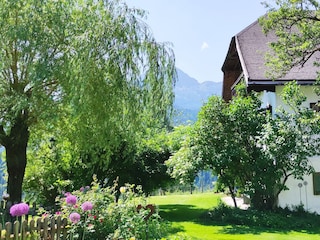 Holiday apartment Abtenau Outdoor Recording 6