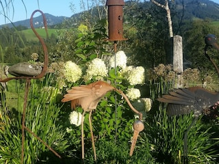 Holiday apartment Abtenau Outdoor Recording 9