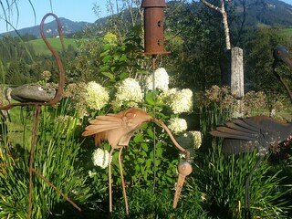 Vakantieappartement Abtenau Buitenaudio-opname 9