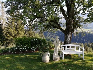 Vakantieappartement Abtenau Buitenaudio-opname 7