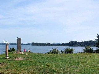 NSG Dummersdorfer Ufer