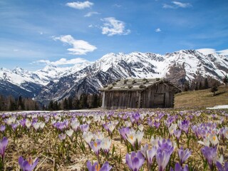 Casa per le vacanze Moos in Passeier Ambiente 20