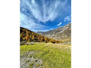 Casa per le vacanze Moos in Passeier Ambiente 22