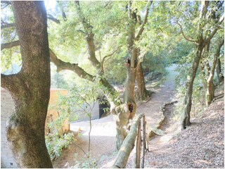 Appartamento per vacanze Castelfranco Piandiscò Registrazione all'aperto 7