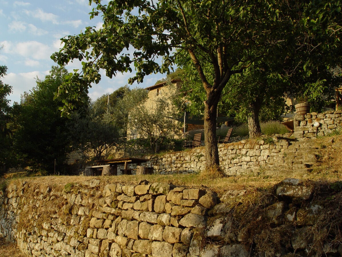 Garten vor dem Haus