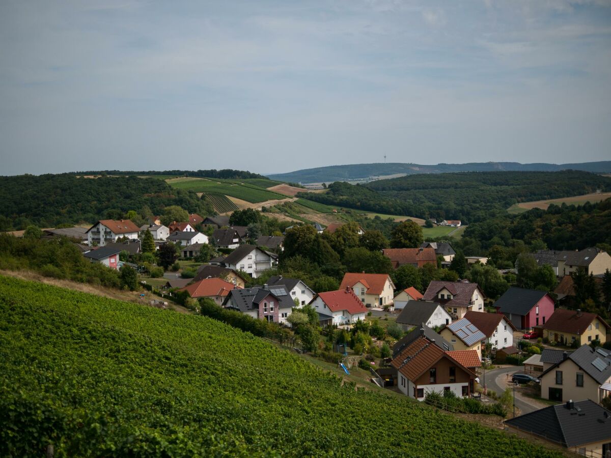 Blick auf Burgsponheim mit Gästehaus