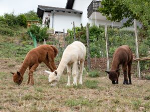 Apartment Ferienwohnung Alpaka-Blick - Hennweiler - image1