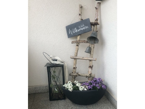Apartment Appartement/Fewo, Dusche, WC, 1 Schlafraum