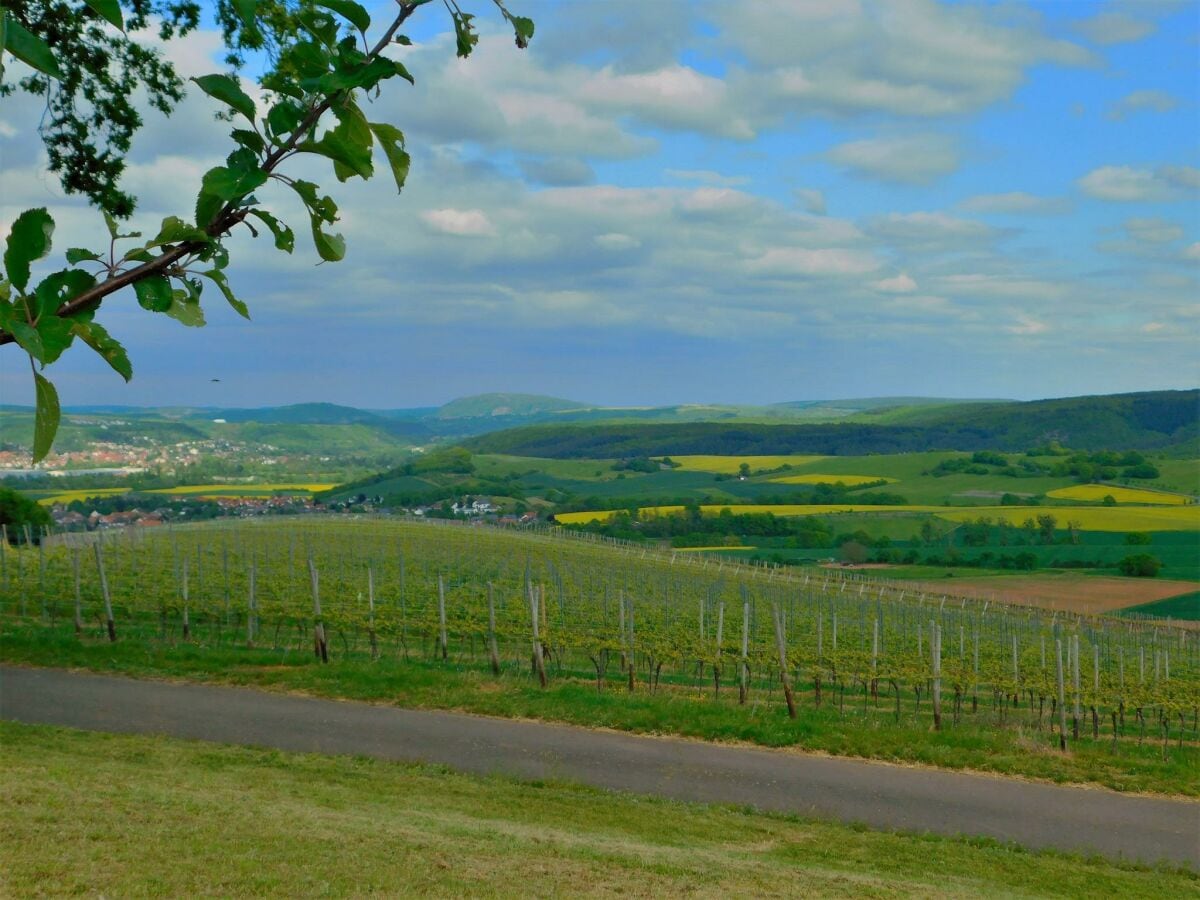 Blick Richtung Lemberg