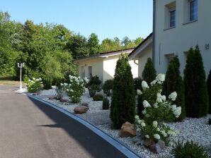 Apartment Appartement 4, Erdgeschoß, Terrasse - Bad Sobernheim - image1