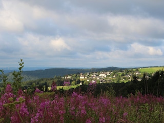 Casa per le vacanze Winterberg Ambiente 28