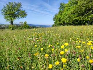 Casa per le vacanze Winterberg Ambiente 30