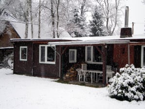 Ferienhaus Villa Hollerbusch - Lüneburg - image1