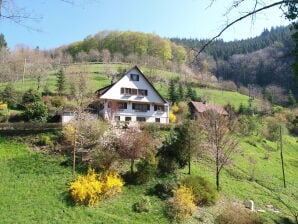 Ferienhaus Hof Busems - Bad Peterstal-Griesbach - image1