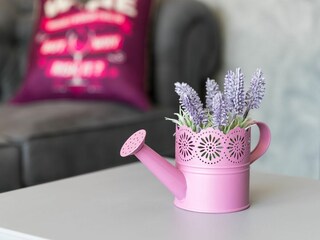 Villa Nova Vas Caratteristiche 19