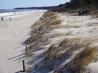 Holiday apartment Zinnowitz Environment 14