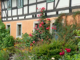 Apartment Pirna Außenaufnahme 2