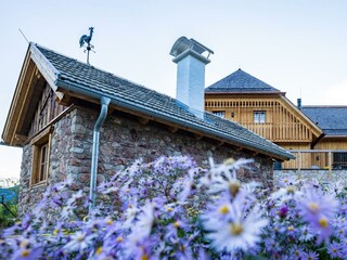Apartamento Bad Aussee Grabación al aire libre 20