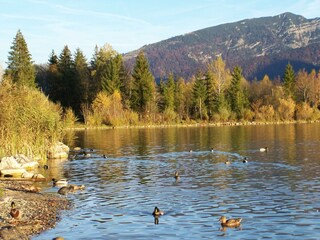 Bauernhof Oberhochstätt Herbst