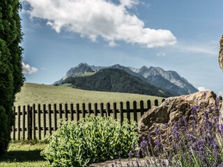 Blick auf das Kaisergebirge vom Garten