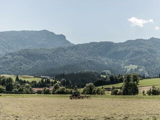 Naturnah - Den Sommer im Riedl erleben