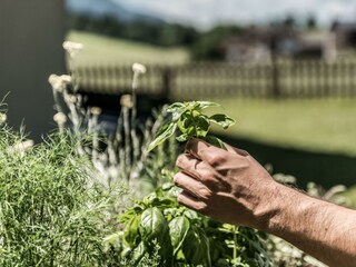 Hotel Riedl_Sommer_Kräuter aus dem Garten (c) Flor