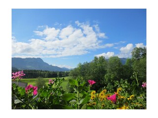 Appartamento Kössen Caratteristiche 19