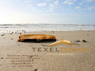 Texelduinen