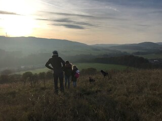 Aussicht von Gemünden, Tongrube