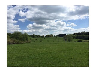 weitläufige Wiesenlandschaft
