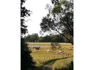 Landschaft