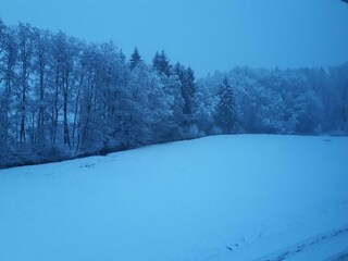 Landschaft