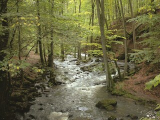 Landschaft