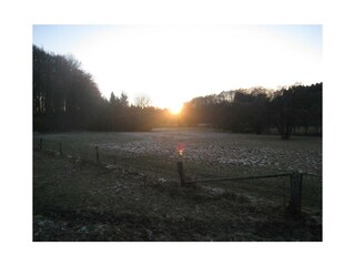 Landschaft