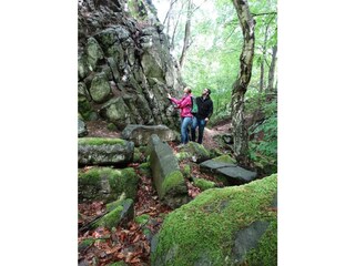 Natur entdecken am Roßbacher Häubchen