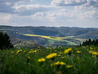 Appartement Waldbreitbach Enregistrement extérieur 9