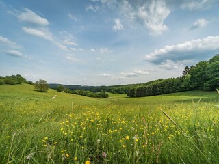 Ausblick ins Jahrsbachtal