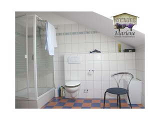 Apartamento Waldbreitbach Características 36